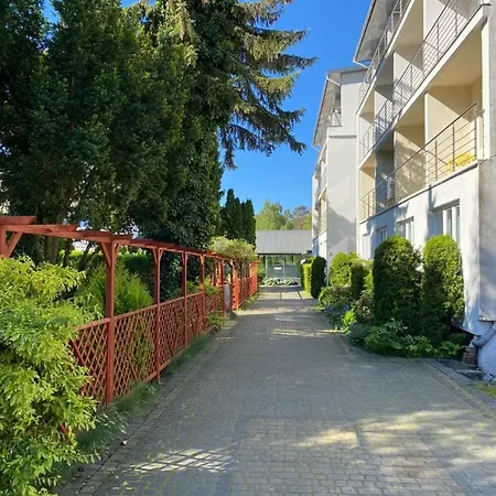 Graal Свиноуйсьце